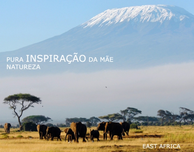 AFRICA SAFARI